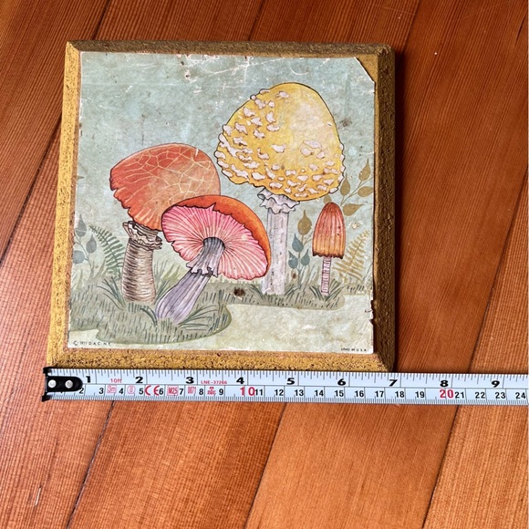 Vintage Cottagecore Mushroom Botany Litho Art Print 1971 USA made - Picture 12 of 12